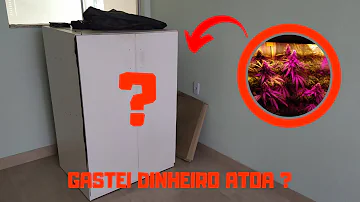 Como fazer um Grow passo a passo?