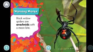 Black widow spiders/ spiders/ nonfiction books/kids books/learn English/learn to read/reading