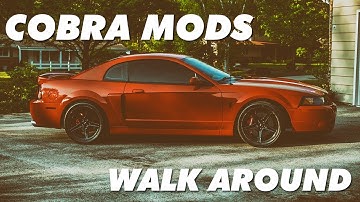 Terminator Cobra Mods Overview