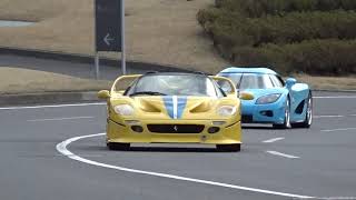 Ferrari F50 &amp; Koenigsegg CCX     #anija