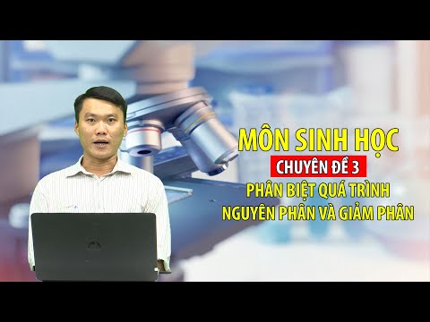 Video [ÔN THI THPT QUỐC GIA 2020] Môn Sinh Học - CĐ3 - Phân... - youtube