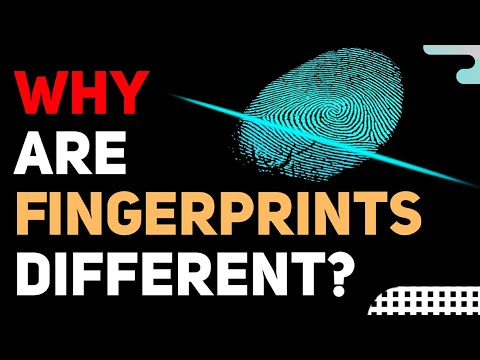 Why your FINGERPRINTS are UNIQUE? Are you special?