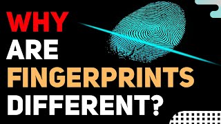 Why your FINGERPRINTS are UNIQUE Are you special