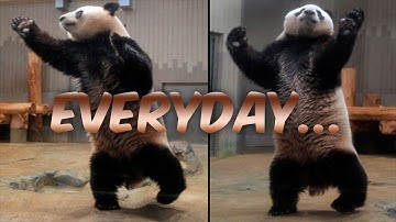 Battlefield 3: Everyday I