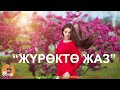 ЖҮРӨКТӨ ЖАЗ ALI COVER 