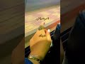 صاحي بعتمة بين شفافي ننادي ننادي لا صوت ولا نور جوة الحيطان صاحي بعتمة بين شفافي ننادي ننادي لا صوت ولا نور جوة الحيطان