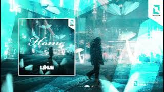 Home (Radio Mix) - Liinus