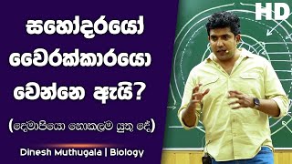 සහෝදරයෝ වෛරක්කාරයො වෙන්නෙ ඇයි..? | Dinesh Muthugala