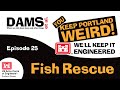 Dams et al. episode 25 - Fish Rescue
