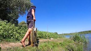 видео: О КАК ТЯНЕТ, ЧТО-ТО ПРЁТ. С НОЧЕВКОЙ НА РЫБАЛКЕ. Рыбалка на сазана с простыми закидушками с ночевой. картинка: О КАК ТЯНЕТ, ЧТО-ТО ПРЁТ. С НОЧЕВКОЙ НА РЫБАЛКЕ. Рыбалка на сазана с простыми закидушками с ночевой.
