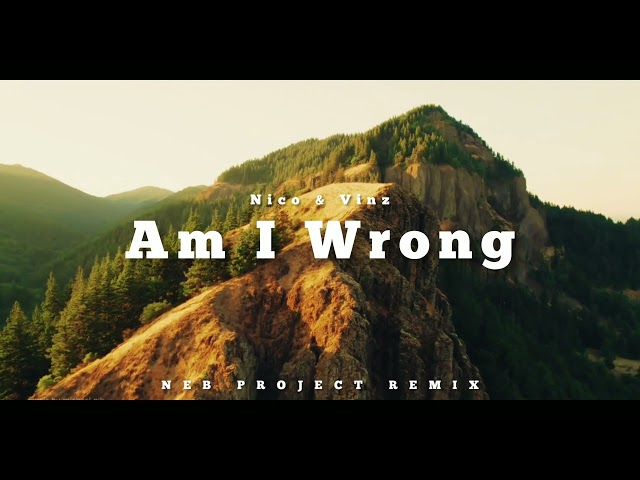 DJ SLOW !!! Neb Project - Am I Wrong - (Slow Remix) class=