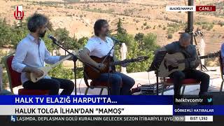 Haluk Tolga İlhan - Mamoş