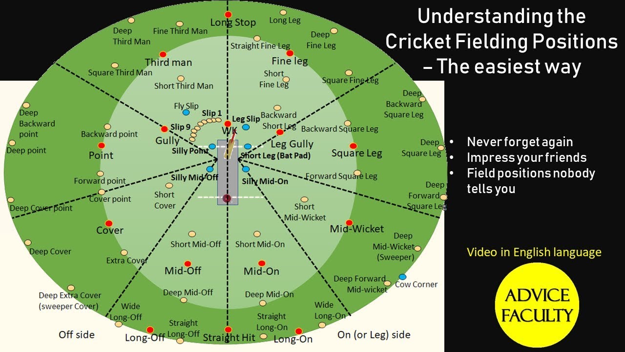 All Leg Side Fielding Positions - Explained & Detailed - Summary