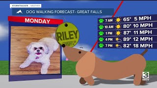 Dog-walking forecast (July 14, 2025)