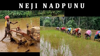 Neji Nadpunu Tulunadu Benni Paddy Cultivation Dj Mervin Show