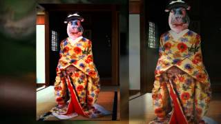 Download Lagu When Graphic Artists Get Bored - Chop A Hippo 5 [Worth1000] MP3