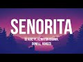 Senorita - DJ Noiz ft. Kennyon Brown, Donell, Konecs