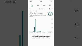 Download Lagu Jan 8. I Hit My 10k Steps Goal MP3