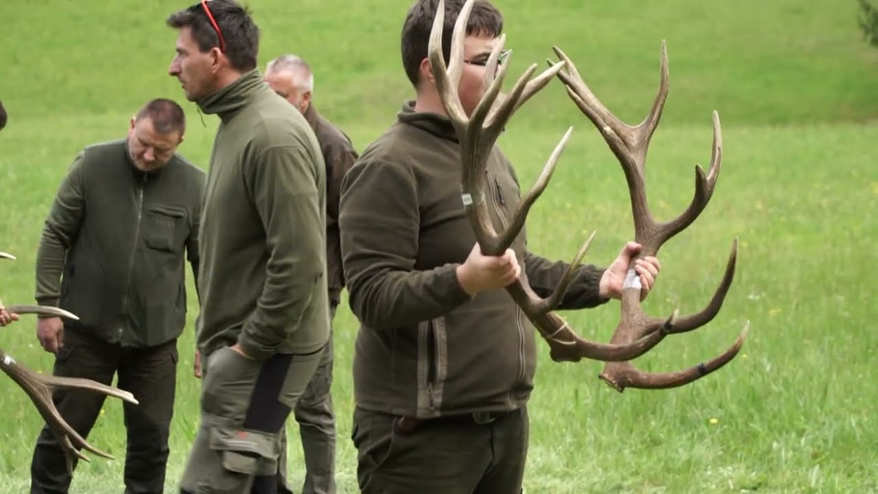 Poľanská prehliadka