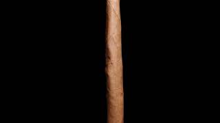 Close Up Blunt Burning 360 | Budsbie Burns (Ep.21)