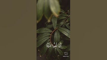 سورة البقرة آية 216 وَعَسَىٰ أَن تَكْرَهُوا شَيْئًا وَهُوَ خَيْرٌ لَّكُمْ ۖ