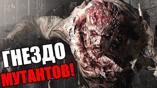 Dying Light Прохождение На Русском #8 — ГНЕЗДО МУТАНТОВ! Dying Light Прохождение На Русском #8 — ГНЕЗДО МУТАНТОВ!