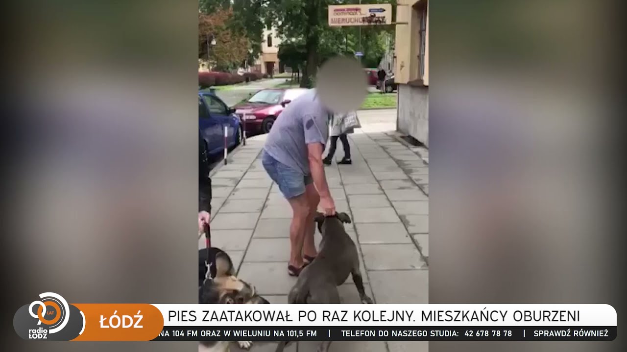 Czy papuga z Mosiny faktycznie \