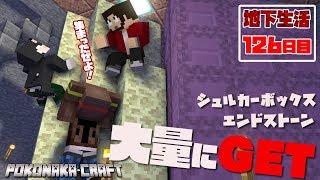 マインクラフト ┃エンドストーン＆シュルカーボックス大量GET！地下生活126日目/ぽこなかくら#376