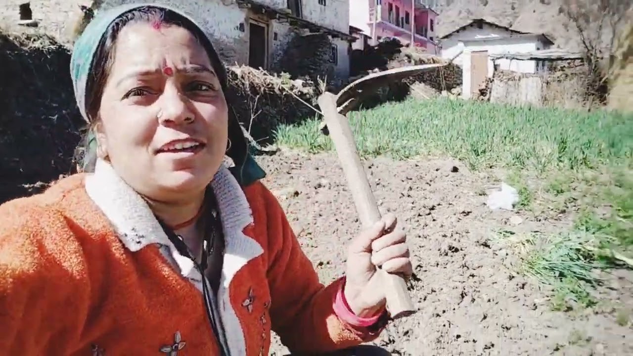 Kheti ka kam suru phado me 😨😨😨😯😯😮