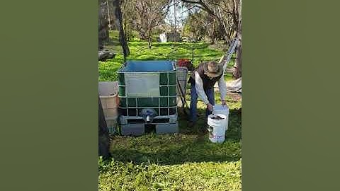 Getting Your Worm Farm Started