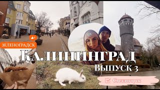 Калининград2024Выпуск #3 Зеленоградск.Светлогорск.То ради чего стоит побывать в Калининграде