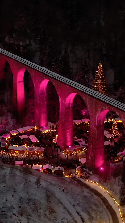 Best of Winter in Europe ❄️🎄 #europe #winter #christmas #travel #bestof #samoyed #dog