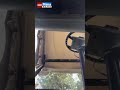 Dramatická nehoda golfového vozíku obletěla internet.