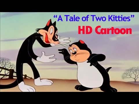 A Tale of Two Kitties || Looney Tunes || PappaLily- Kids Cartoon