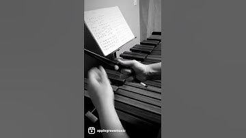 4-Mallet Steven’s Grip