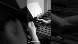 4-Mallet Steven’s Grip