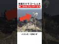 パズルを一切解かず、体重だけでボスを即〇させたプレイヤーたち