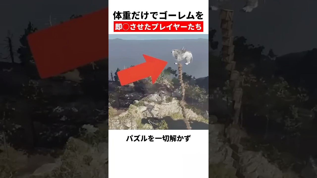 パズルを一切解かず、体重だけでボスを即〇させたプレイヤーたち