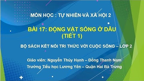 TNXH 2-KẾT NỐI TRI THỨC-Bài 17: Động vật sống ở đâu? (Tiết 1)