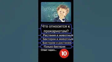 Что относится к прокариотам — копия