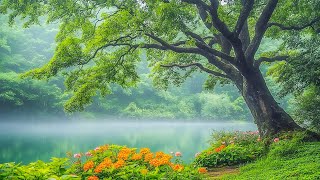 Relaxing Music to Stop Overthinking 🌿 Stress Relief & Deep Sleep Sounds #2