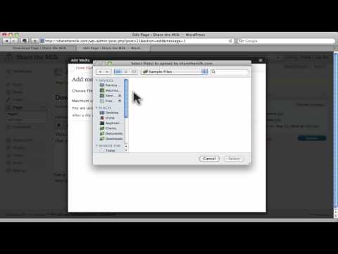 WordPress 3.2.1 | Add a Download Link in WordPress 3.2.1 | Download PDF