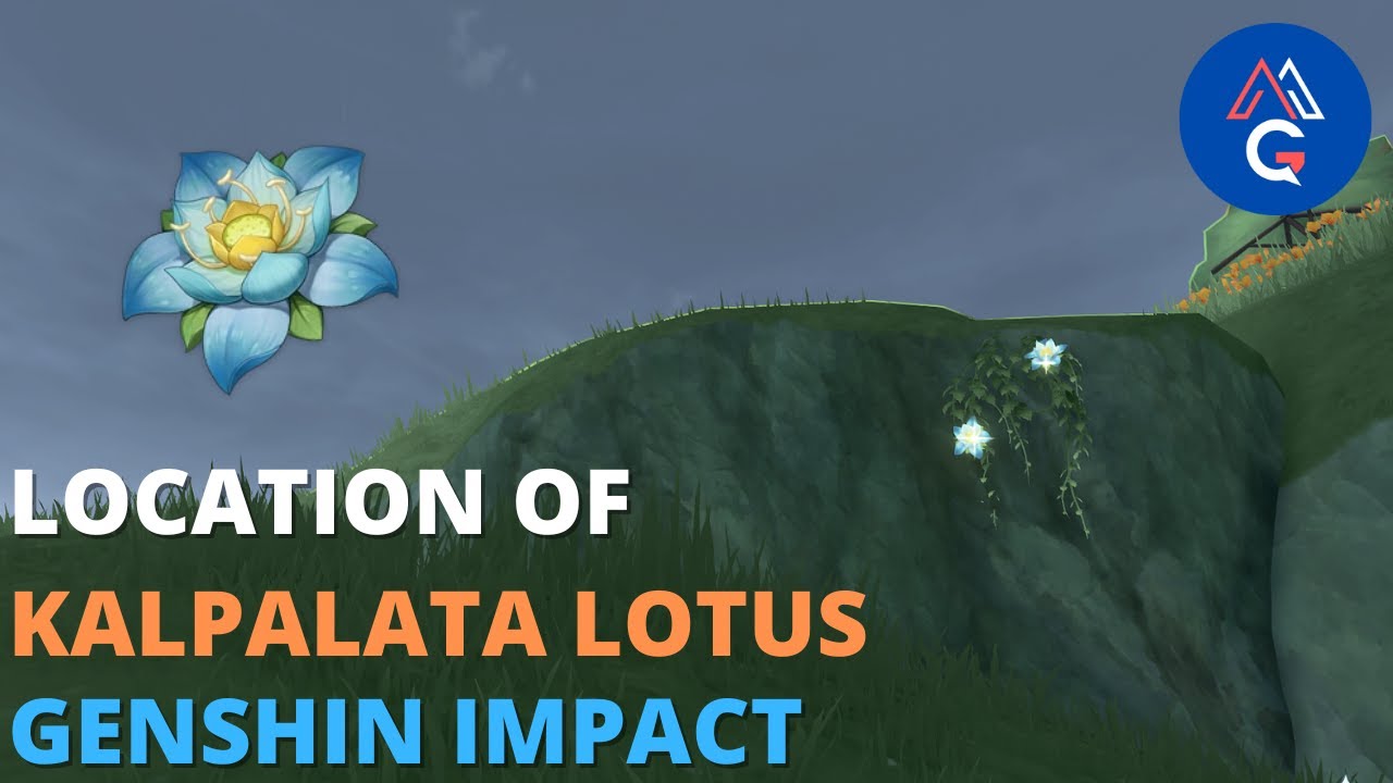 Kalpalata lotus genshin
