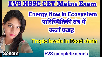 Energy flow in the Ecosystem | HSSC CET Mains EVS classes | Trophic levels in food chain | EVS class