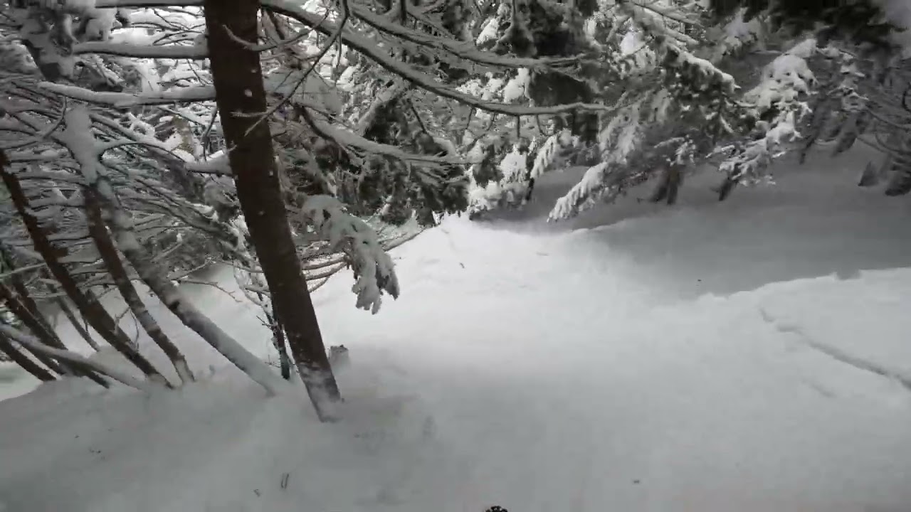 MLK Laps - Catwalk Woods - Smugglers Notch (2026)