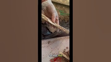 Cách Diệt Mối Tận Gốc Vô Cùng Hiệu Quả #dichvudietmoi #nhadep #dietmoitangoc #dietmoiquocphong