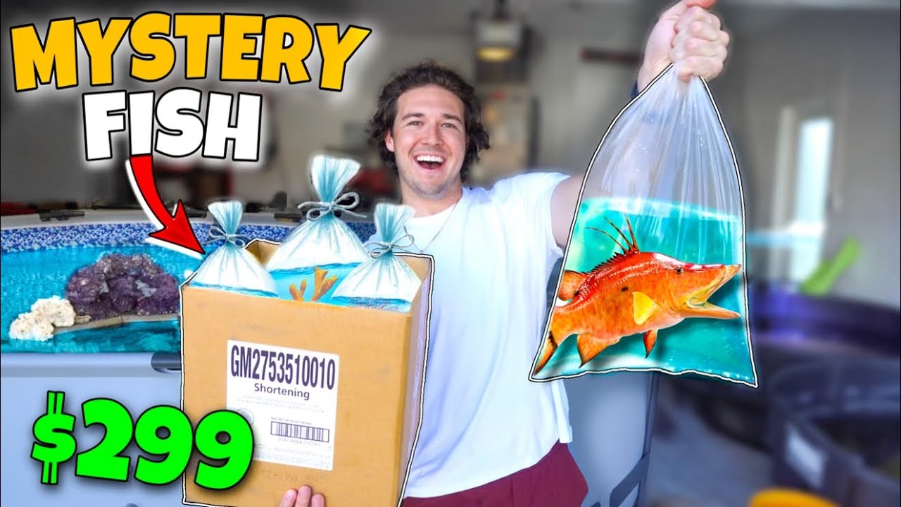 FISH SHOPPING SPREE For My SALTWATER AQUARIUM! YouTube