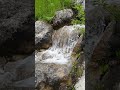Relax Your Mind in 20 Seconds  #relax #nature #calm #peaceful #shorts
