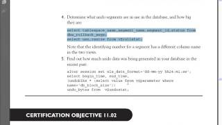 Oracle 11g DBA Bangla Tutorial | Ch11_2 - Managing Undo Data | Database Management System | Training