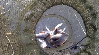 Рыбалка на СУПЕР СНАСТЬ. Китайская снасть кормушка с сетью.